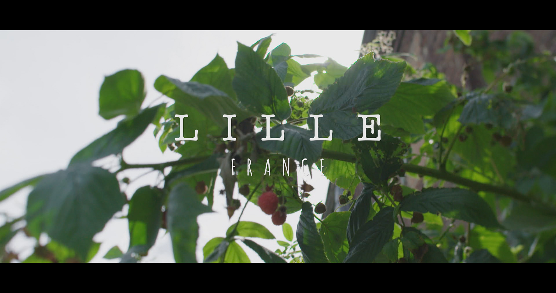DEMAIN — image 3
