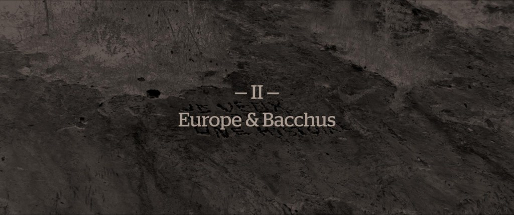 METAMORPHOSES — image 2